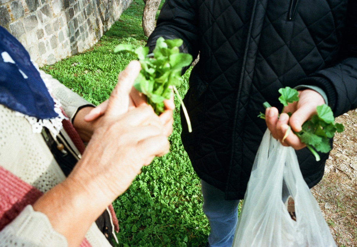 6-Yaban Bostan series.jpg